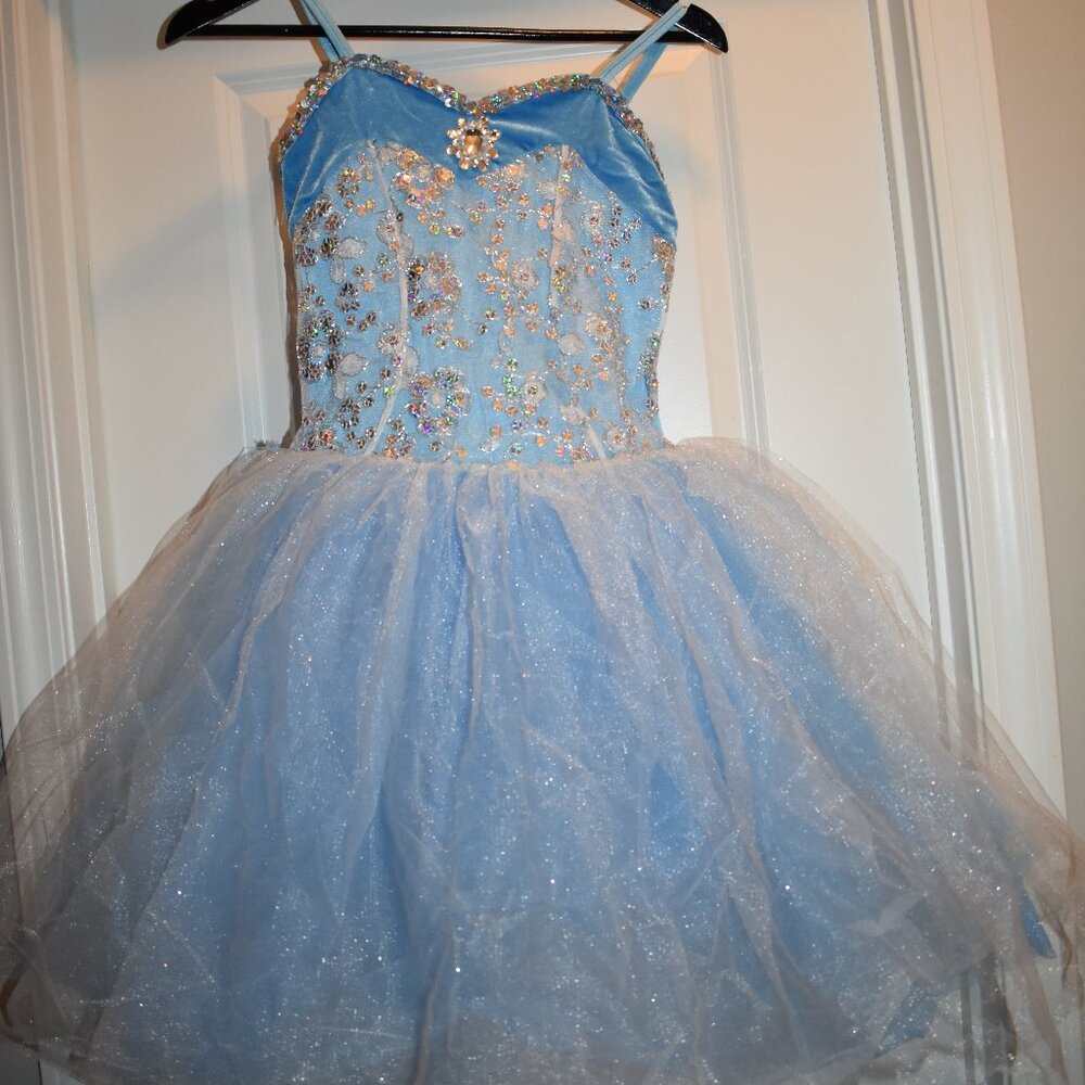 Curtain Call Dance Costume